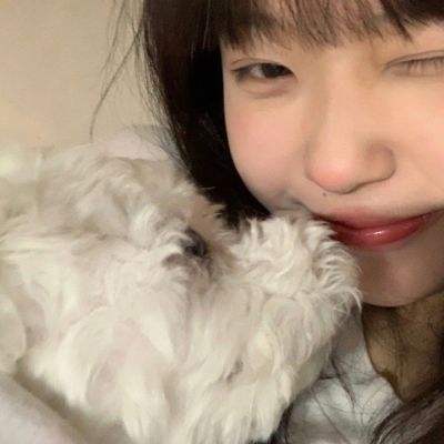 bte365真正的网站下载手机版